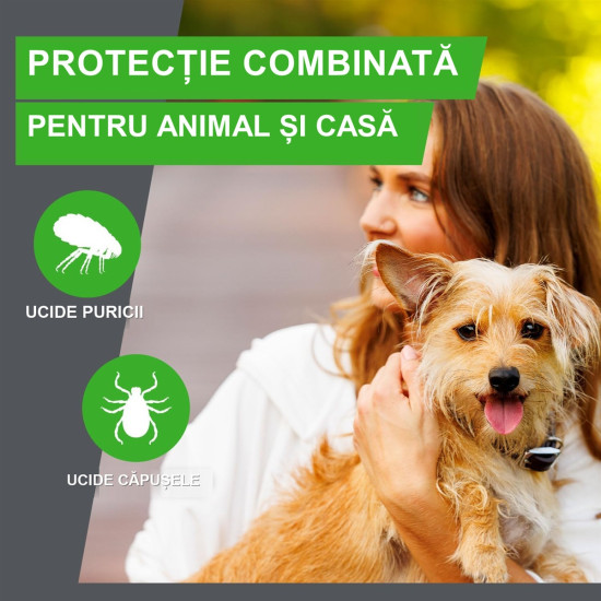 Frontline Combo Spot-On XL – Soluție Antiparazitară Externă pentru Câini de Talie Mare (40–60 kg) – 3 Pipete